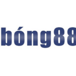 fun88 bong88